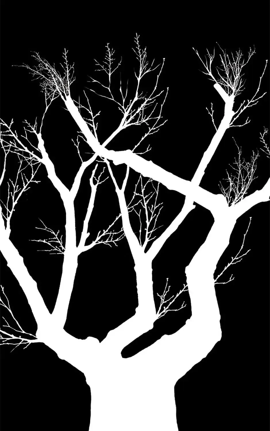 Read Shadow Garden chapter 23 image 62 on Lezhin