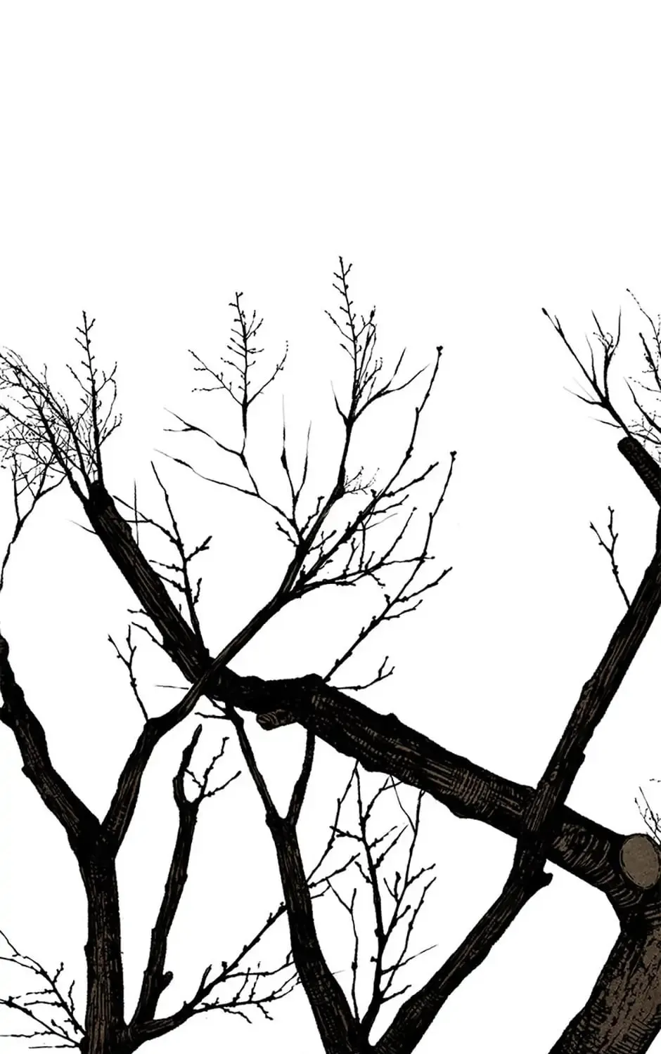 Read Shadow Garden chapter 24 image 150 on Lezhin