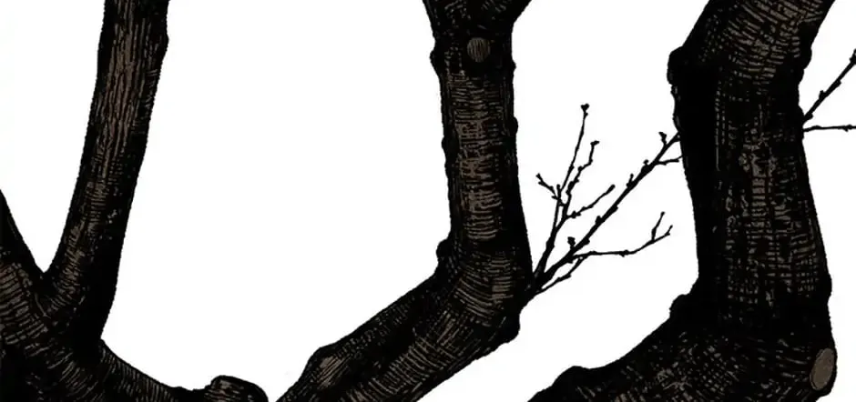 Read Shadow Garden chapter 24 image 151 on Lezhin