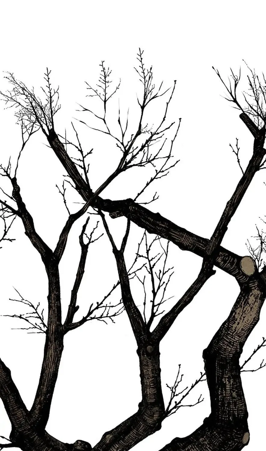 Read Shadow Garden chapter 26 image 118 on Lezhin