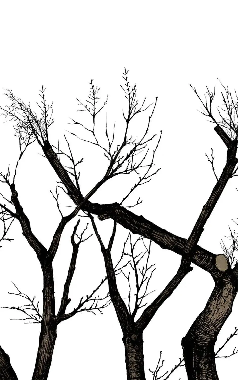 Read Shadow Garden chapter 27 image 78 on Lezhin