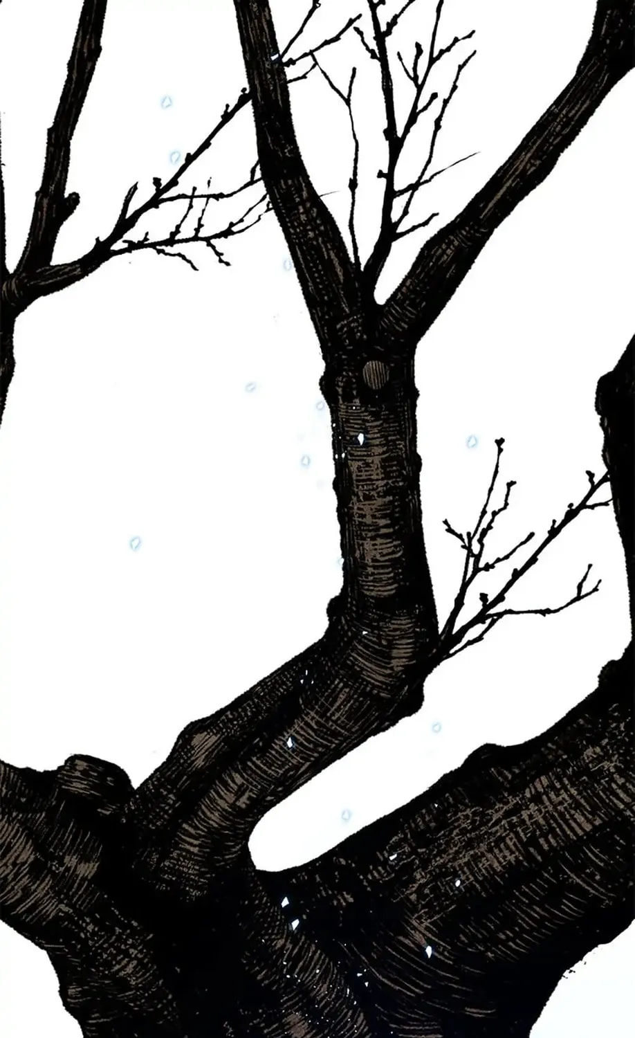 Read Shadow Garden chapter 29 image 84 on Lezhin