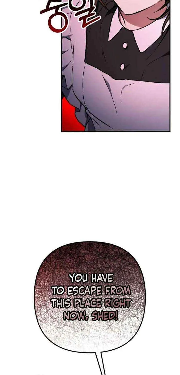 Read Shadow in Paradise chapter 11 image 81 on Lezhin