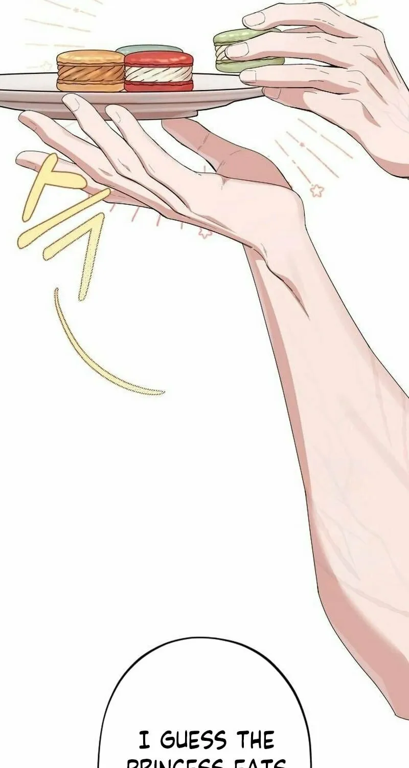 Read Shadow Princess chapter 12 image 4 on Lezhin