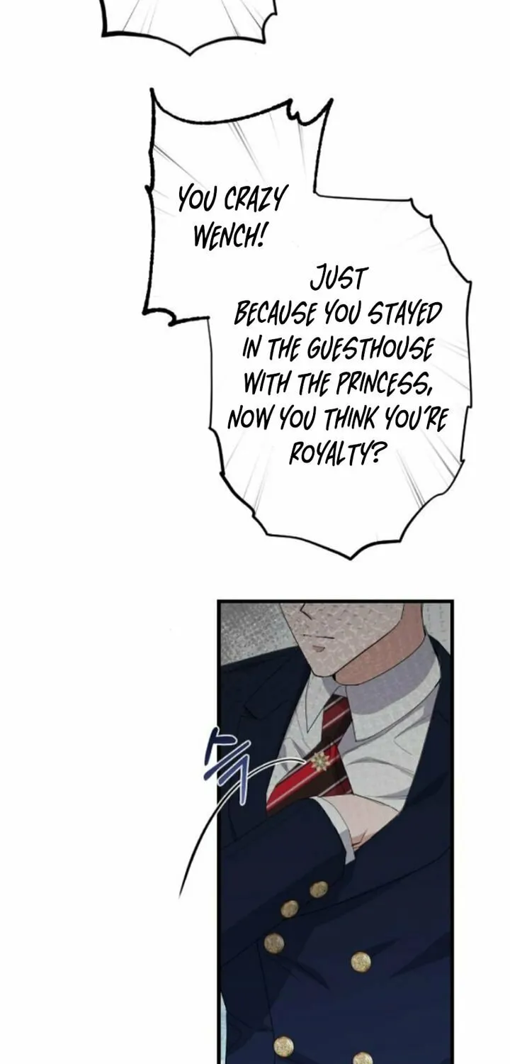 Read Shadow Princess chapter 13 image 20 on Lezhin