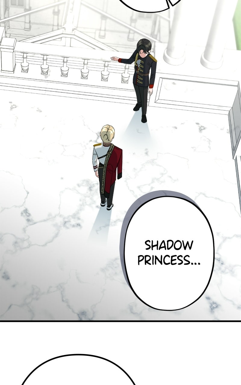 Read Shadow Princess chapter 32 image 31 on Lezhin