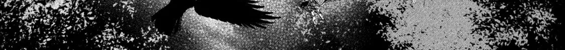 Shadows of Kyoto Chapter 4 page 32 - 