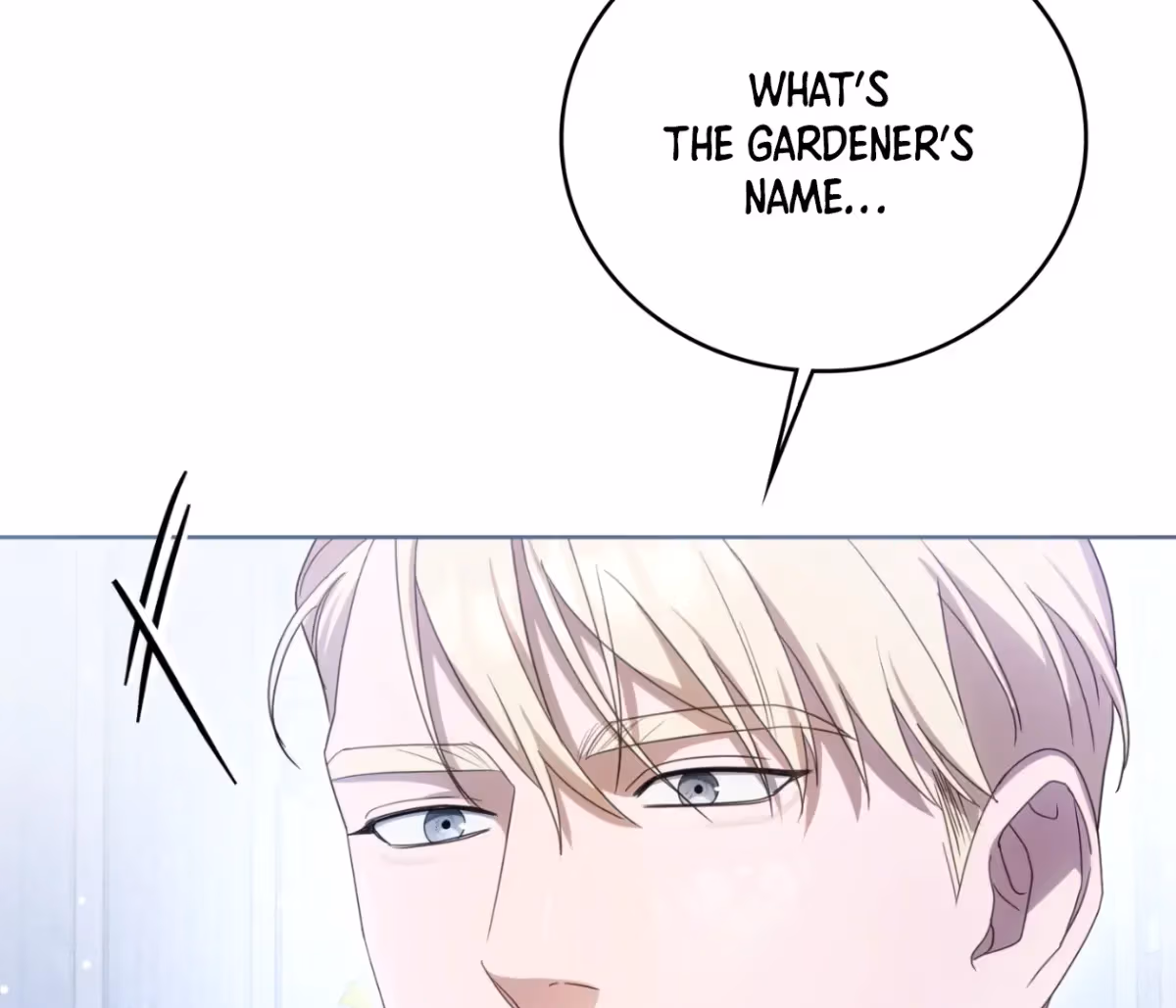 Shall I Write Your Love Letter? Chapter 15 page 210 - 