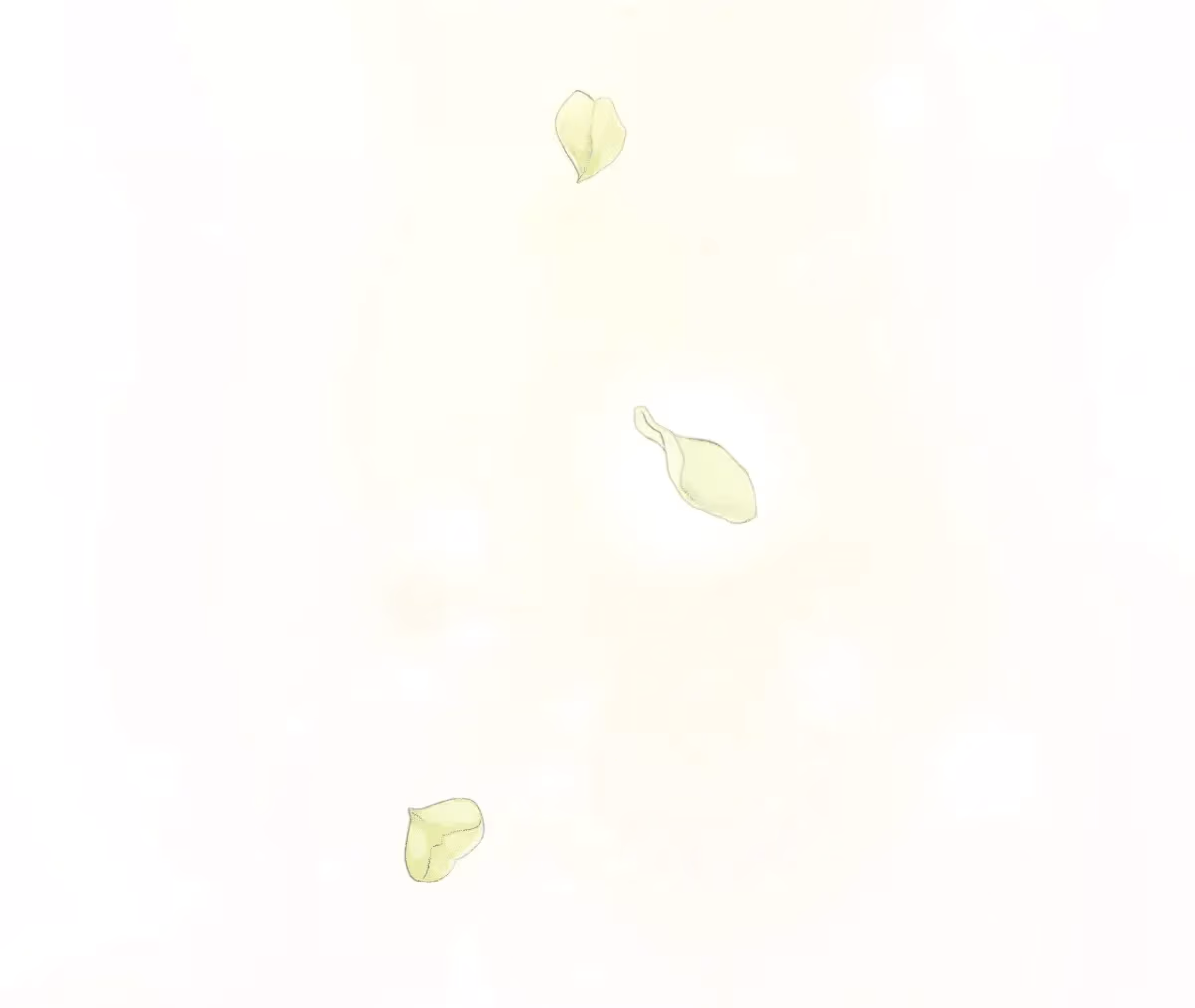 Shall I Write Your Love Letter? Chapter 6 page 165 - 