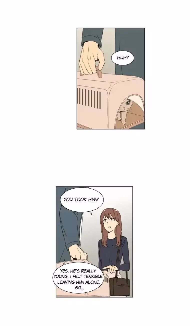 Read Shall We Have Dinner Tonight? chapter 33 image 17 on Lezhin