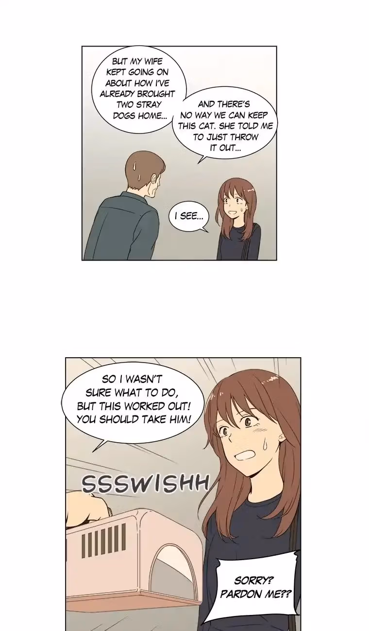 Read Shall We Have Dinner Tonight? chapter 33 image 18 on Lezhin