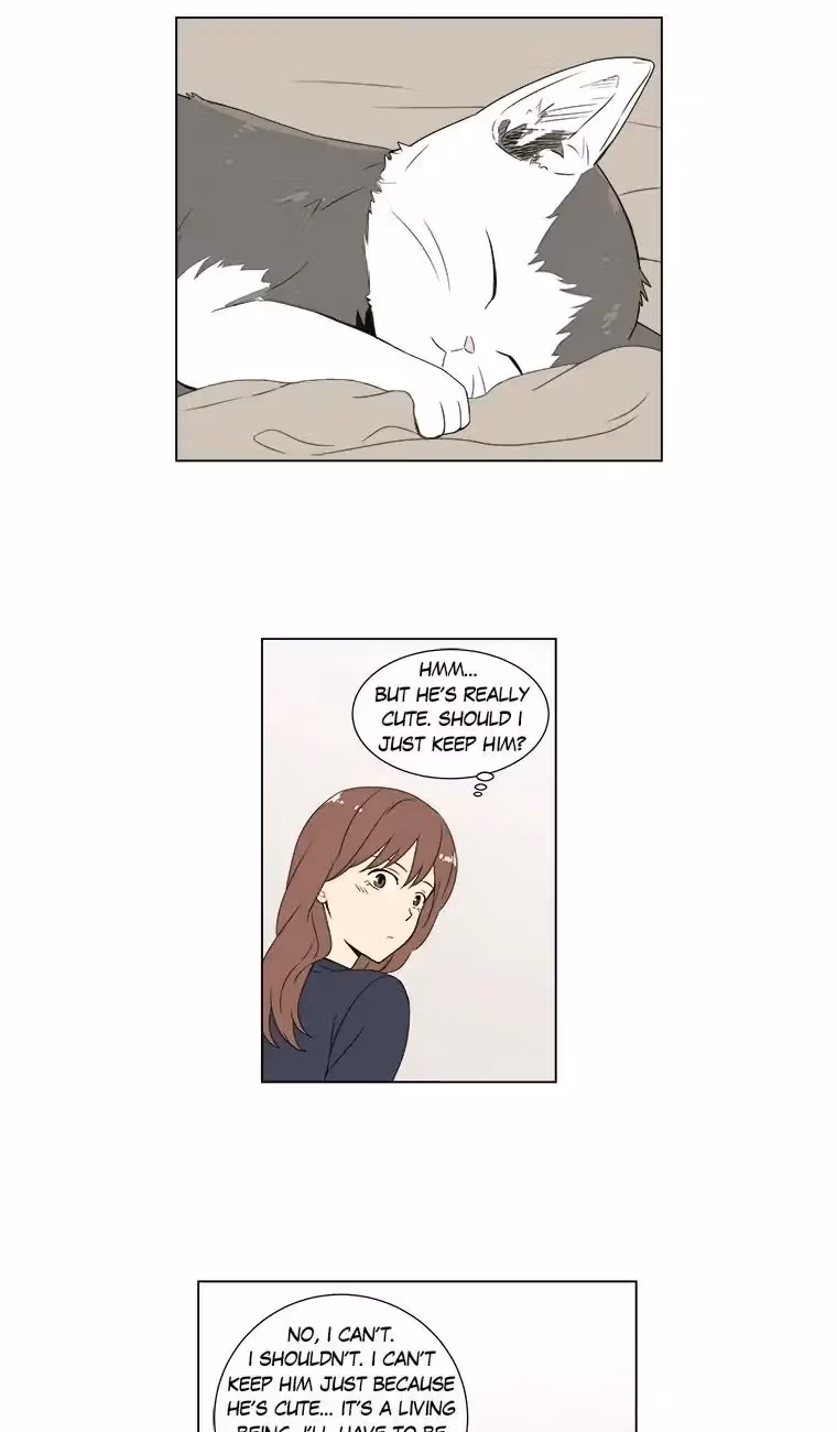 Read Shall We Have Dinner Tonight? chapter 33 image 24 on Lezhin