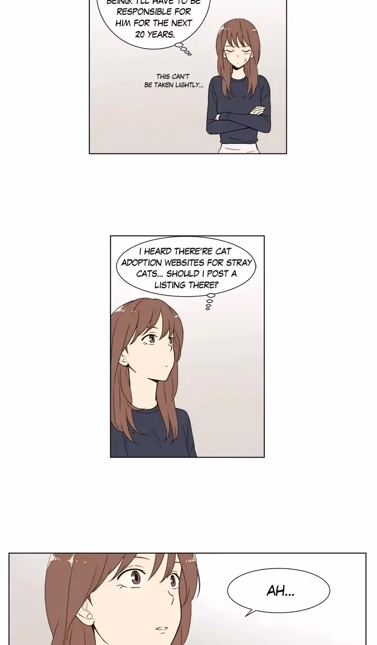 Read Shall We Have Dinner Tonight? chapter 33 image 25 on Lezhin