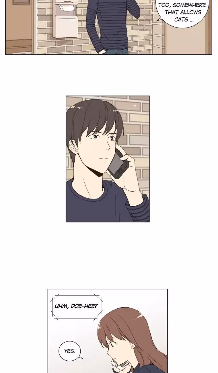 Read Shall We Have Dinner Tonight? chapter 33 image 41 on Lezhin