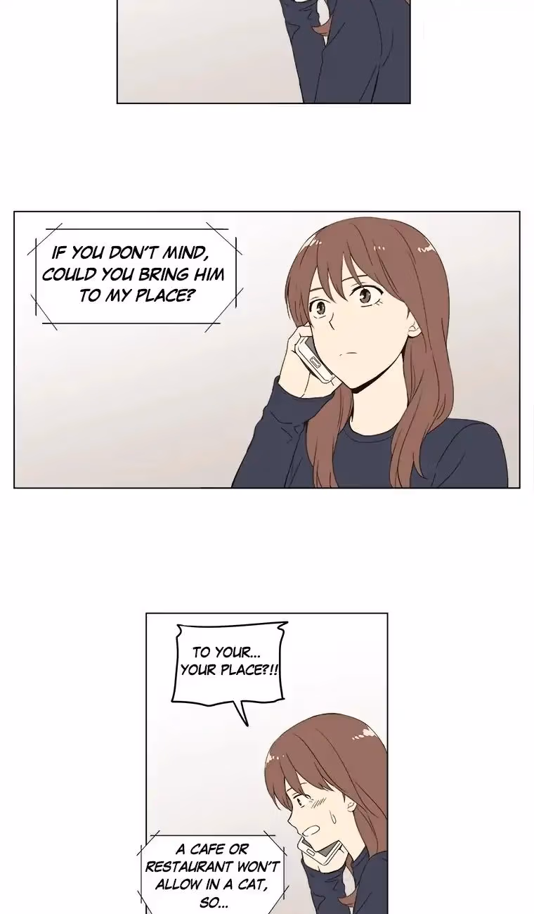 Read Shall We Have Dinner Tonight? chapter 33 image 42 on Lezhin
