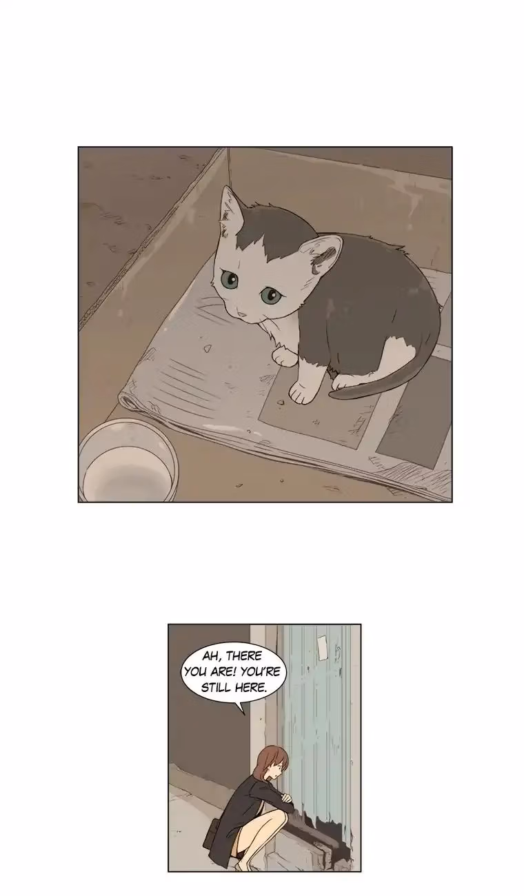 Read Shall We Have Dinner Tonight? chapter 33 image 5 on Lezhin