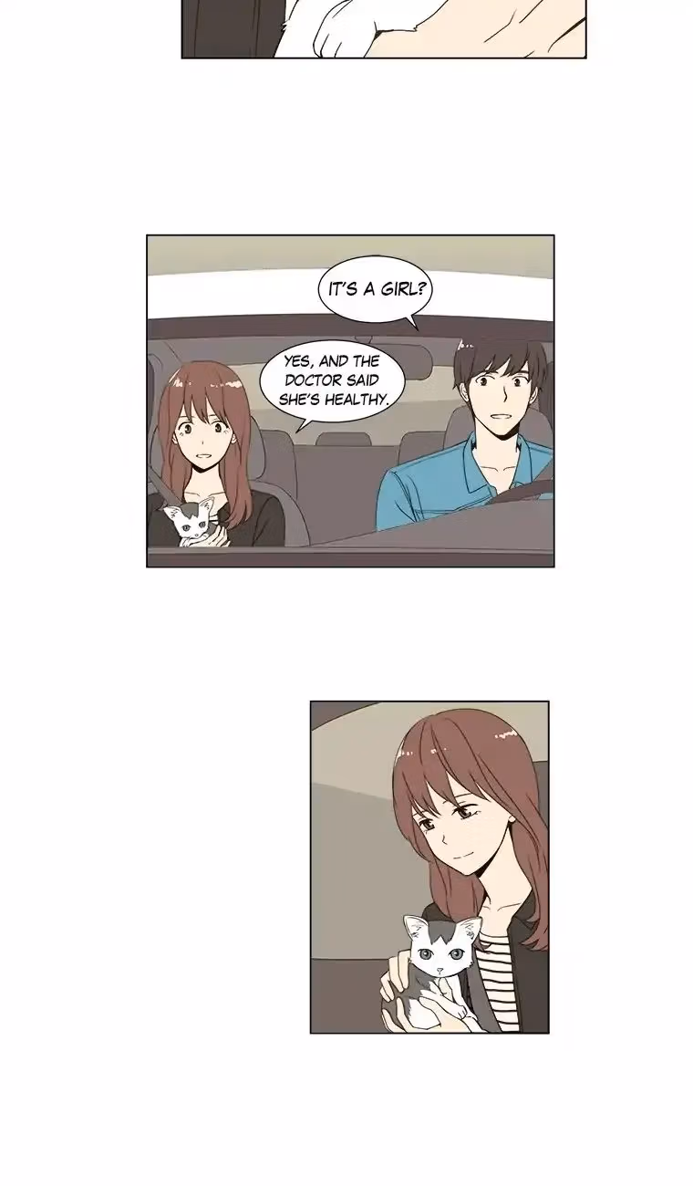 Read Shall We Have Dinner Tonight? chapter 34 image 1 on Lezhin