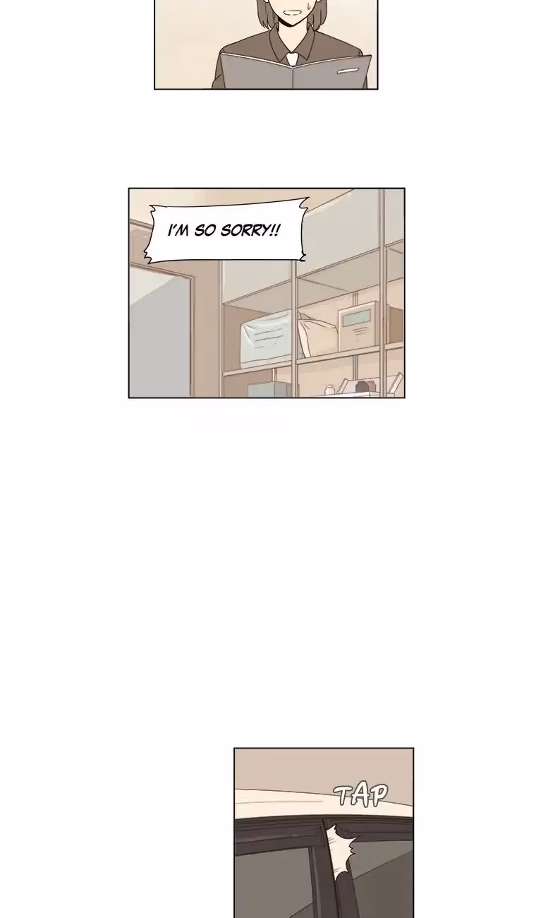 Read Shall We Have Dinner Tonight? chapter 44 image 22 on Lezhin