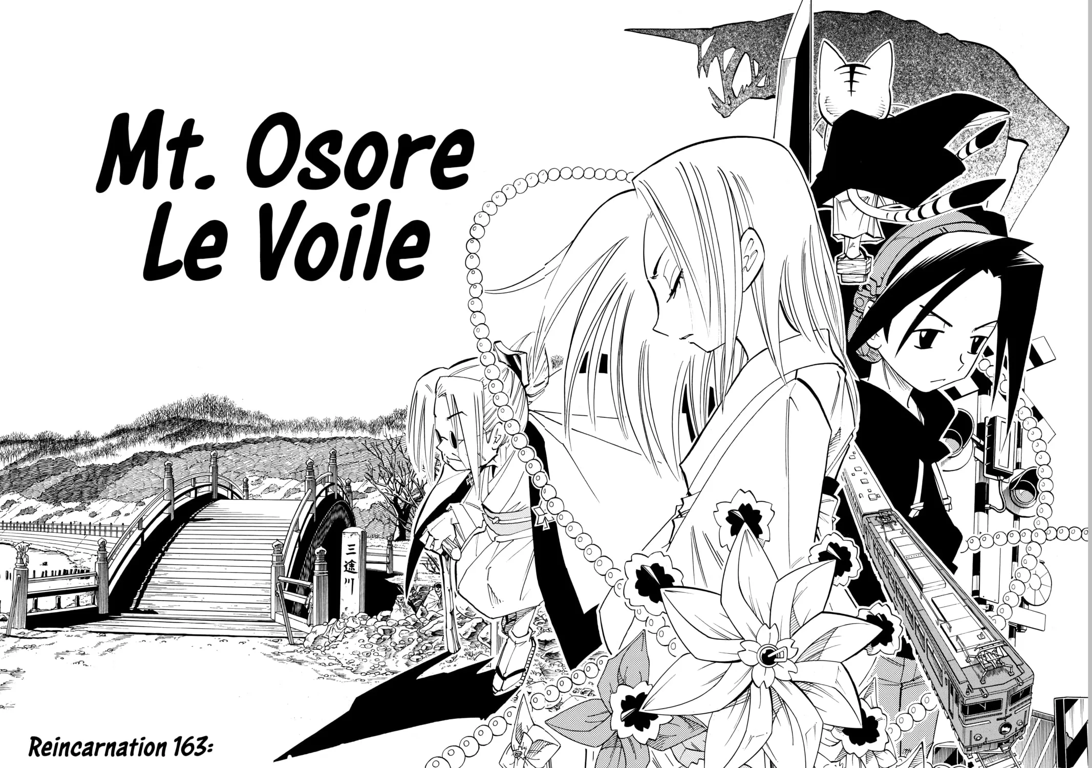Read Shaman King chapter 163 image 6 on Lezhin