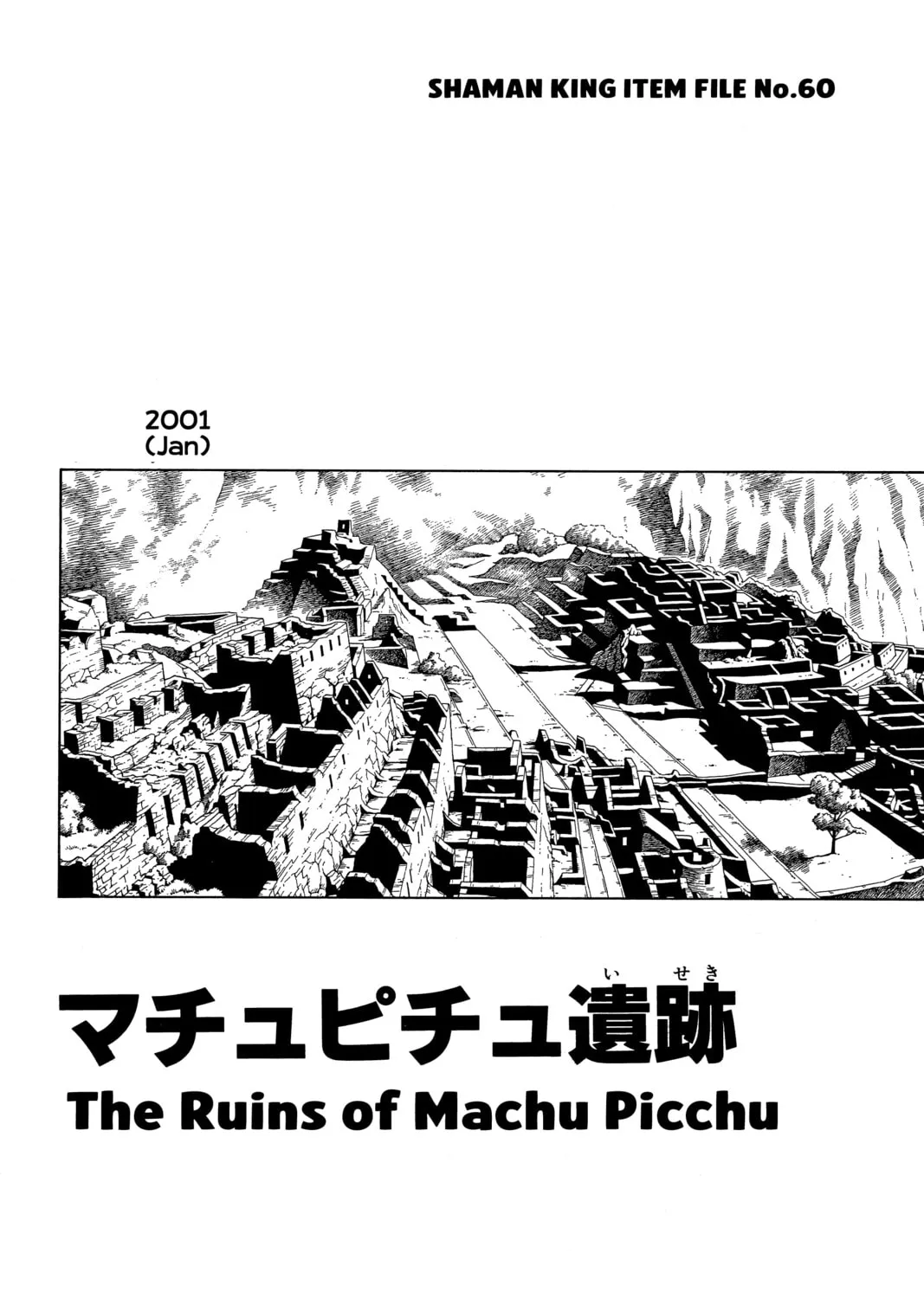 Read Shaman King chapter 203 image 36 on Lezhin