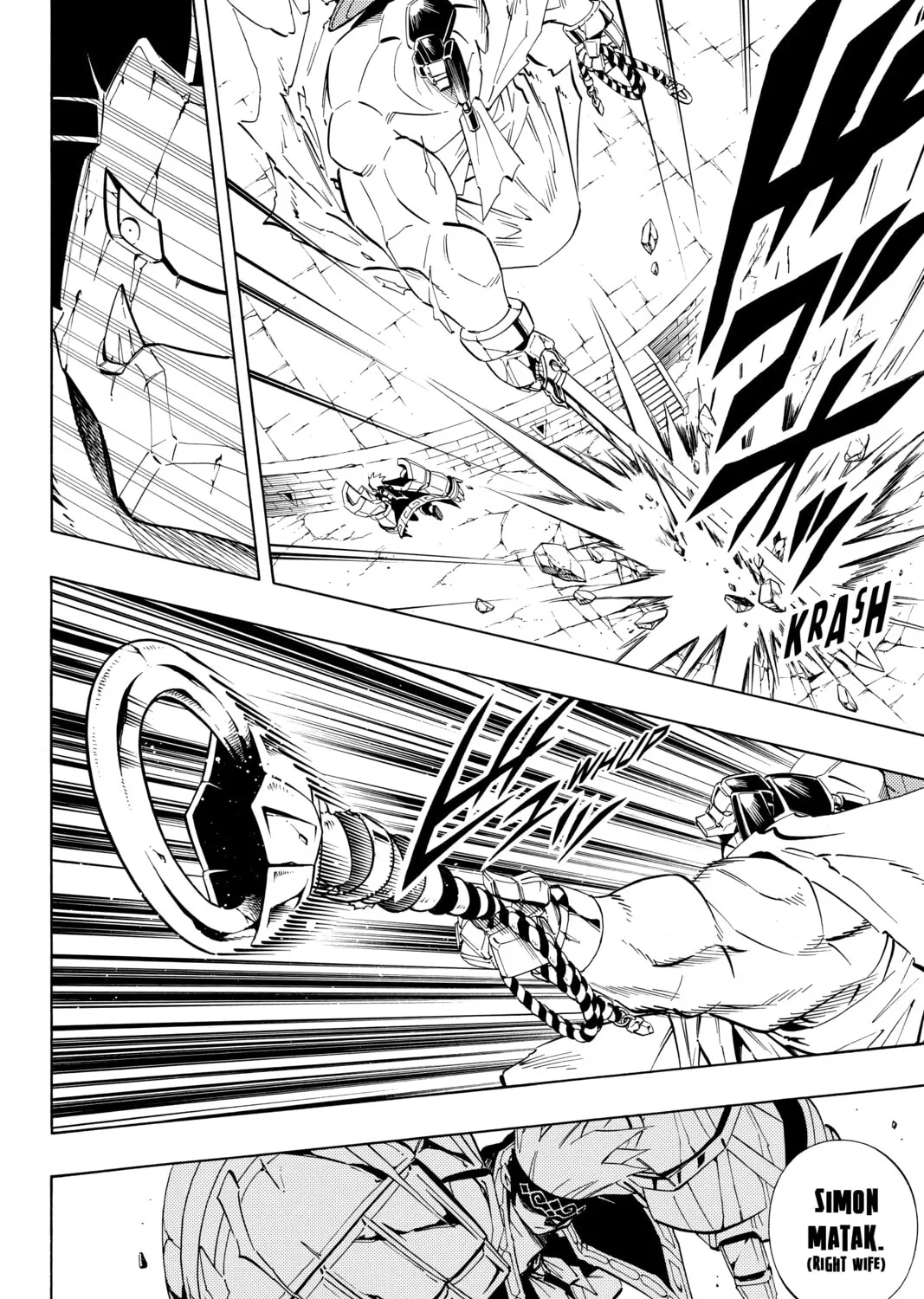 Read Shaman King chapter 227 image 12 on Lezhin