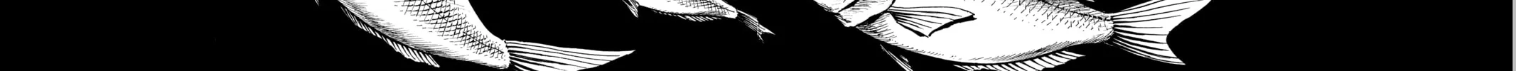 Read Shaman King chapter 263 image 31 on Lezhin