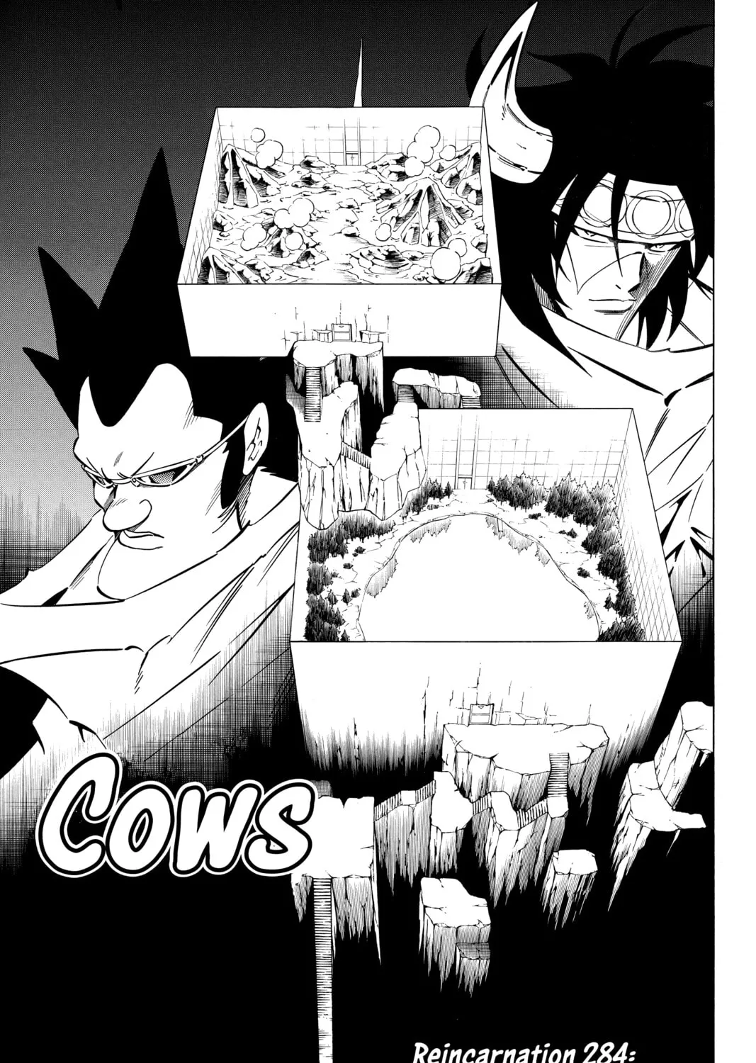 Read Shaman King chapter 284 image 8 on Lezhin