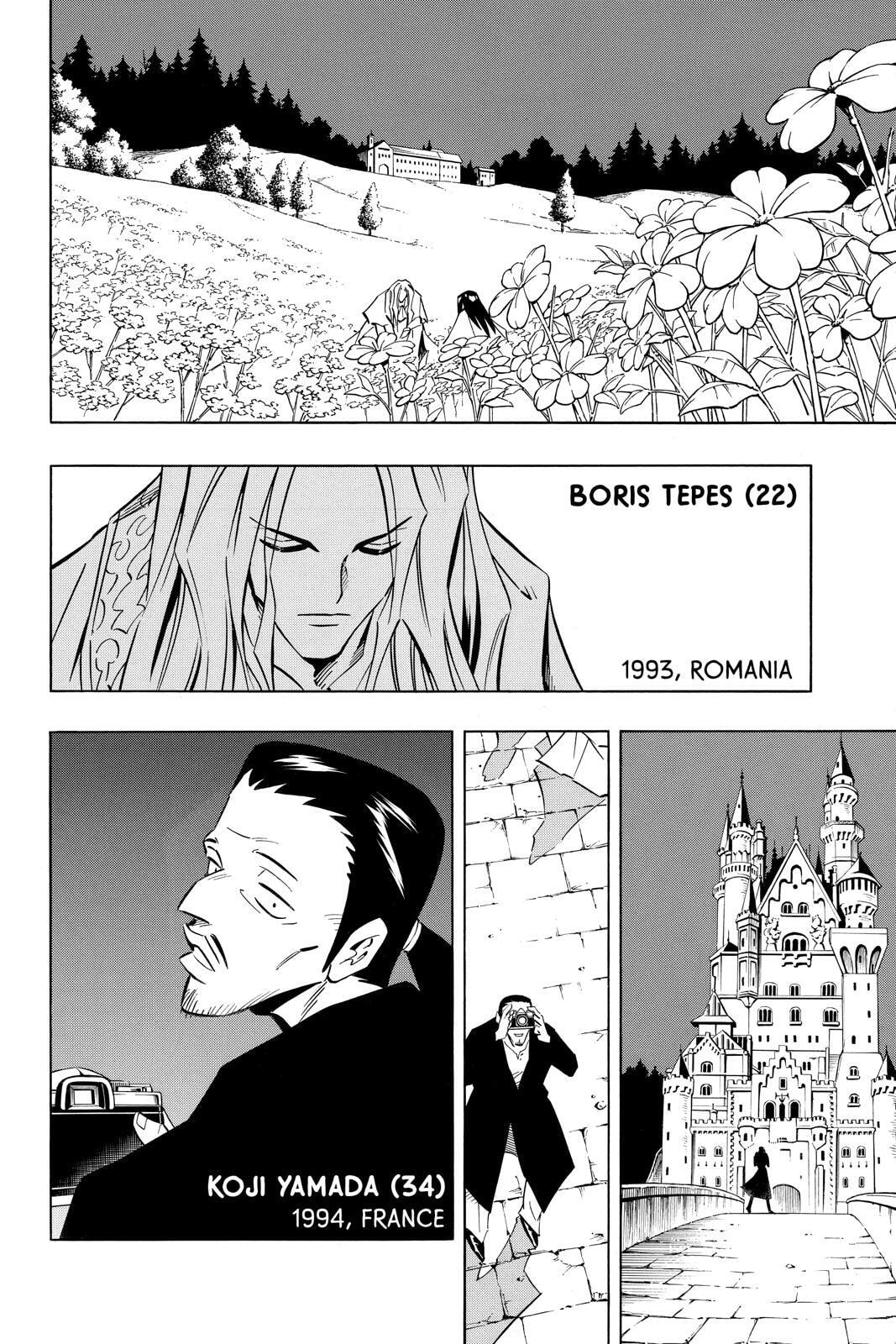 Read Shaman King chapter 299.5 image 23 on Lezhin