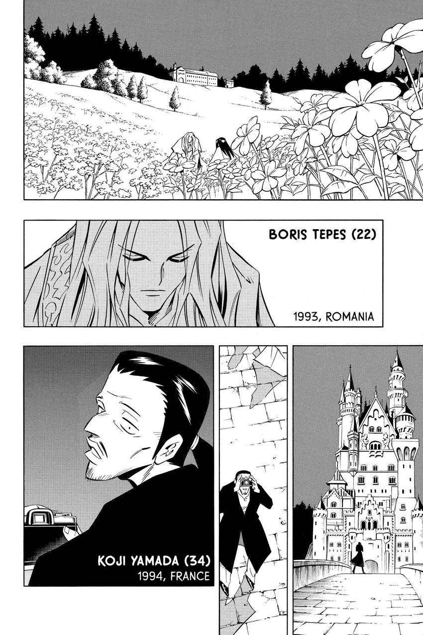 Read Shaman King chapter 307 image 7 on Lezhin