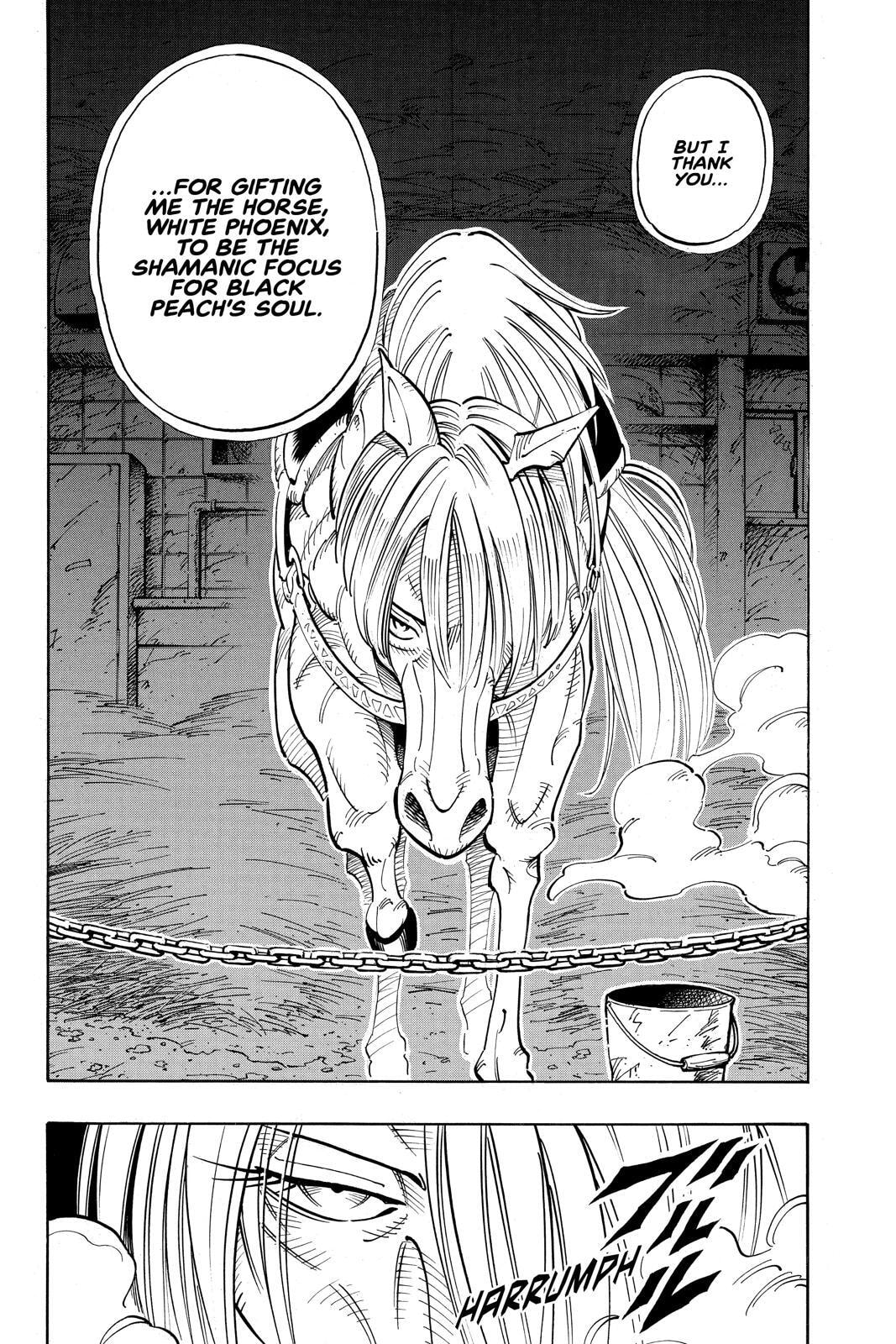 Read Shaman King chapter 53 image 9 on Lezhin