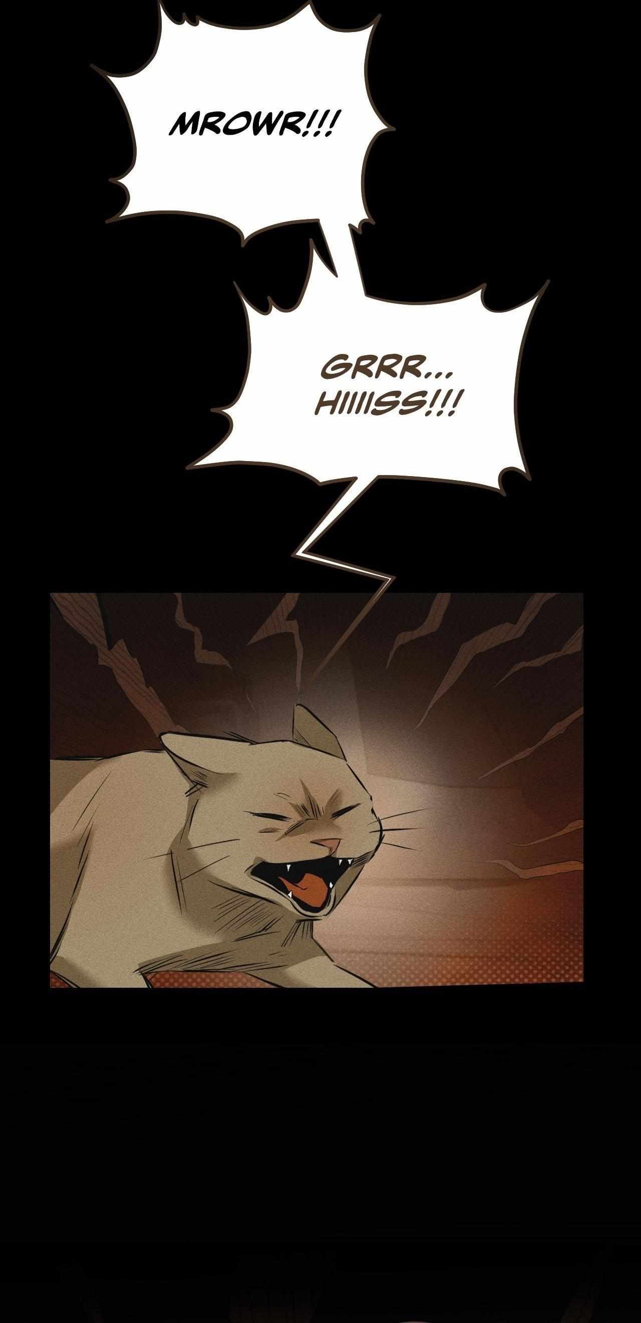 Read Shaman