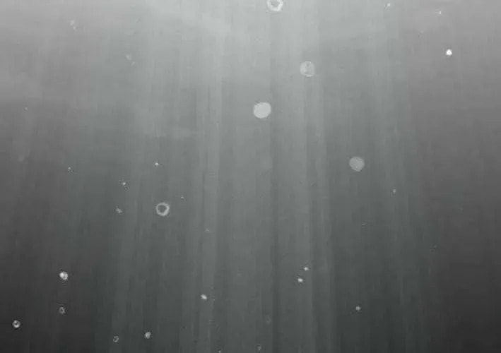 Read ShaMONEYism chapter 30 image 17 on Lezhin
