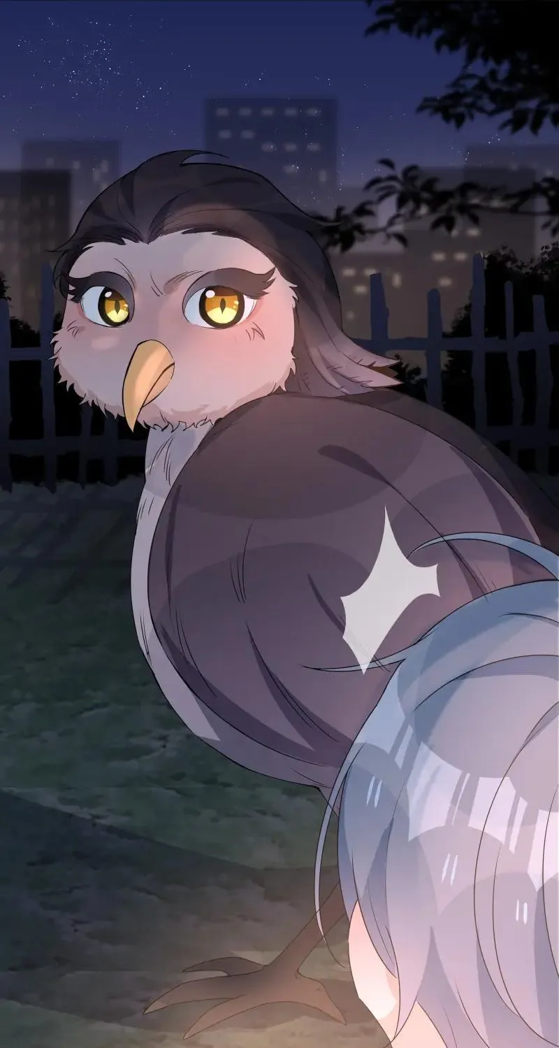 Read Shanhai High School chapter 24 image 43 on Lezhin