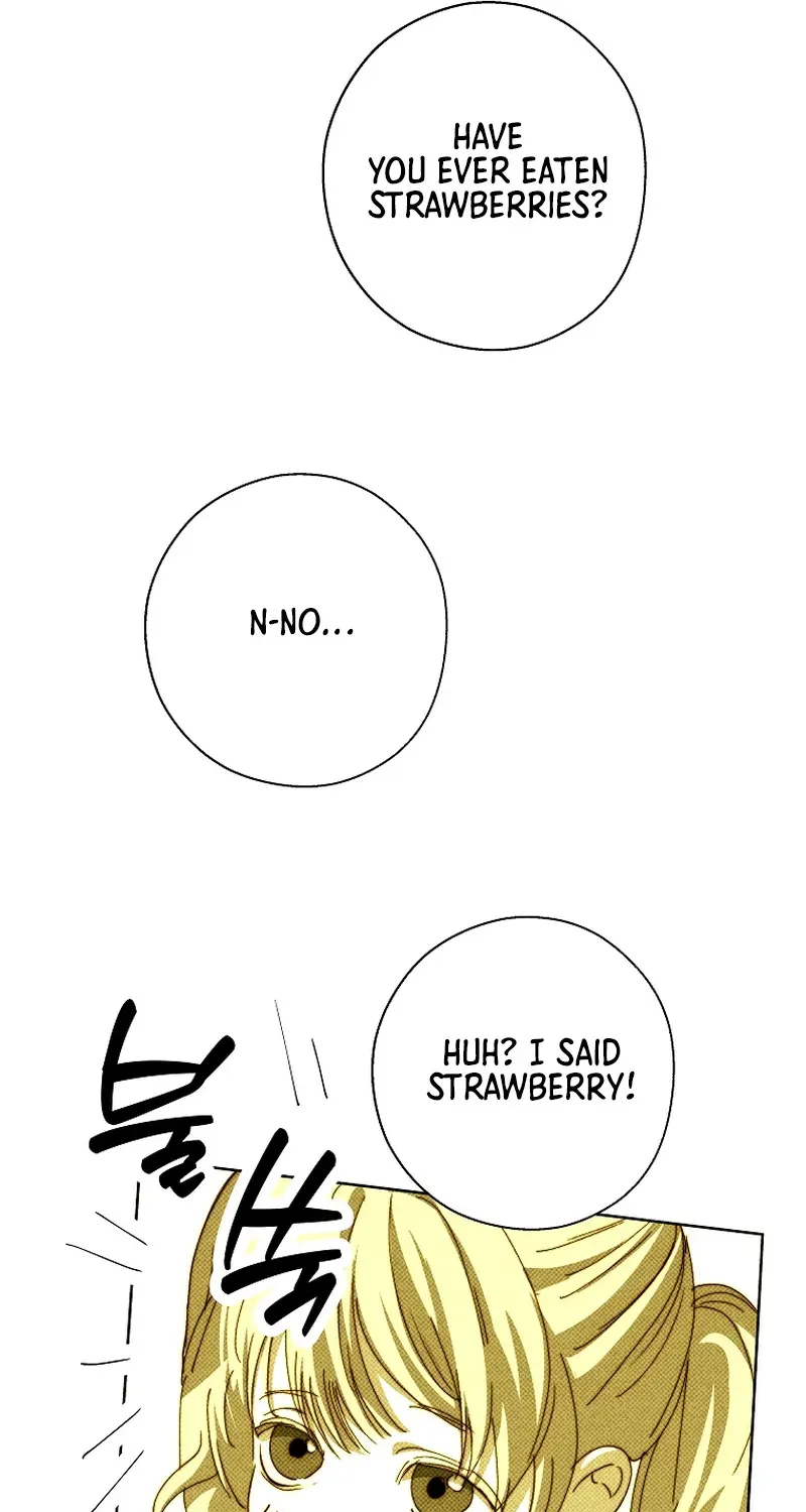 Shards of Broken Glass Slippers Chapter 14 page 81 - 