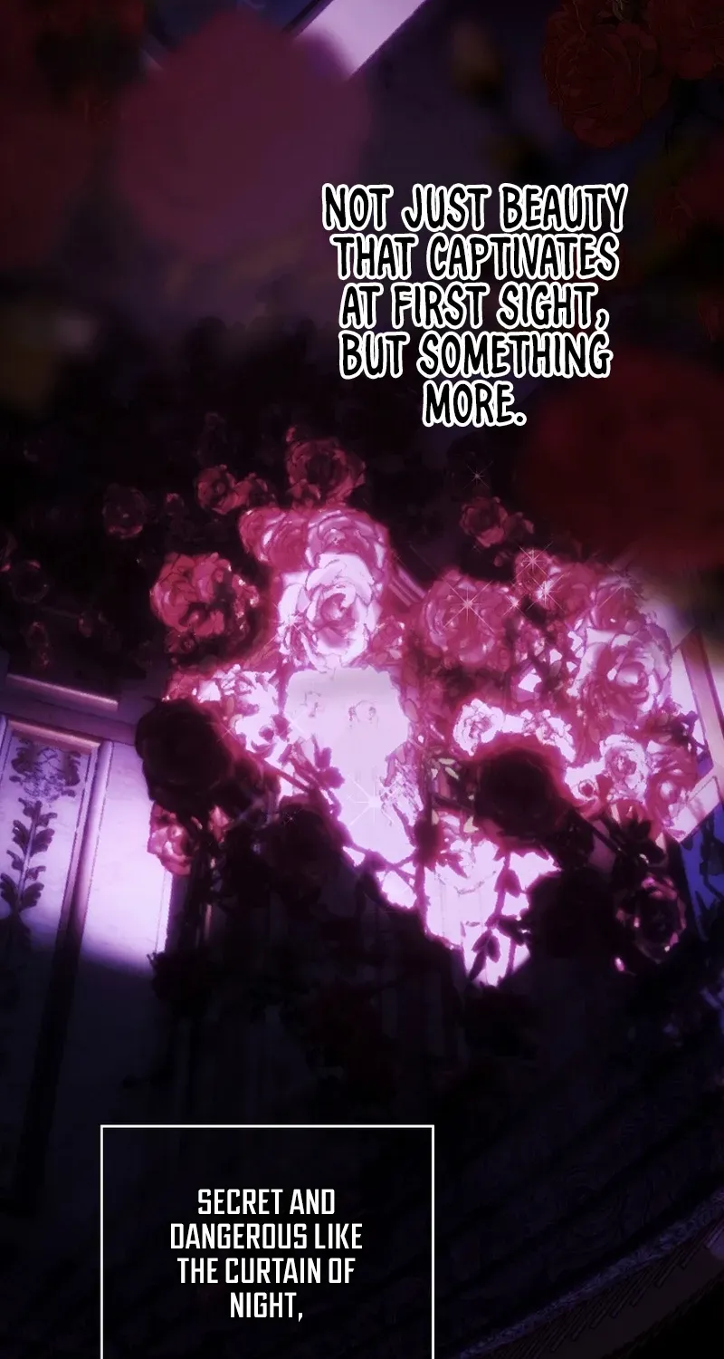 Shards of Broken Glass Slippers Chapter 16 page 53 - 