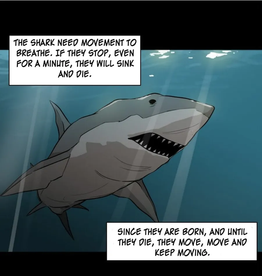 Read Shark chapter 0 image 6 on Lezhin