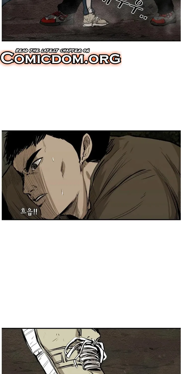 Read Shark chapter 103 image 11 on Lezhin
