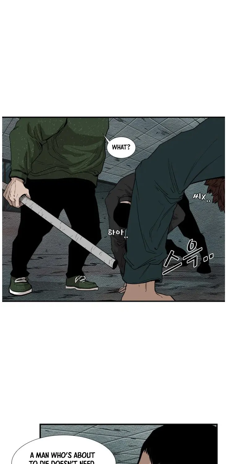 Read Shark chapter 107 image 19 on Lezhin