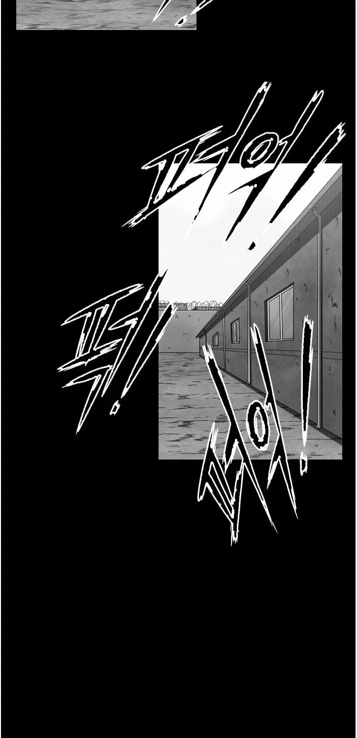 Read Shark chapter 109 image 37 on Lezhin