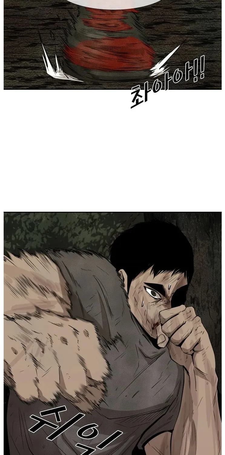 Read Shark chapter 116 image 6 on Lezhin