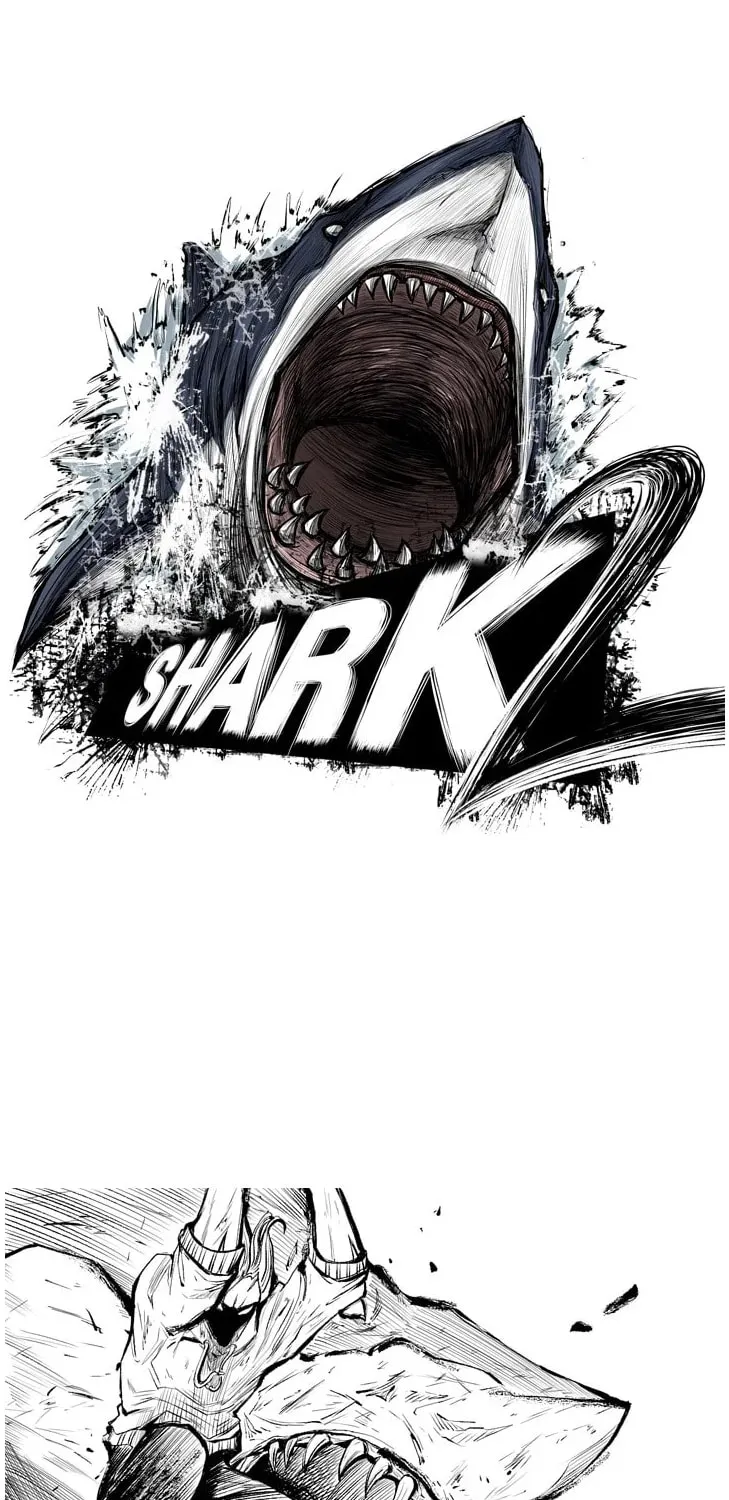 Read Shark chapter 118 image 1 on Lezhin