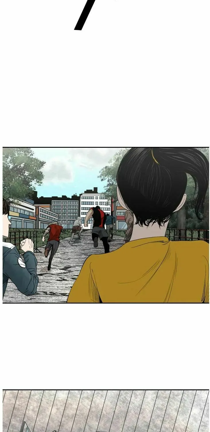 Read Shark chapter 126 image 37 on Lezhin