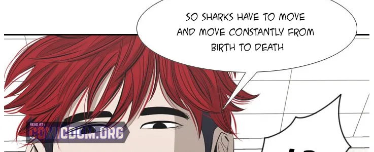 Read Shark chapter 135 image 54 on Lezhin