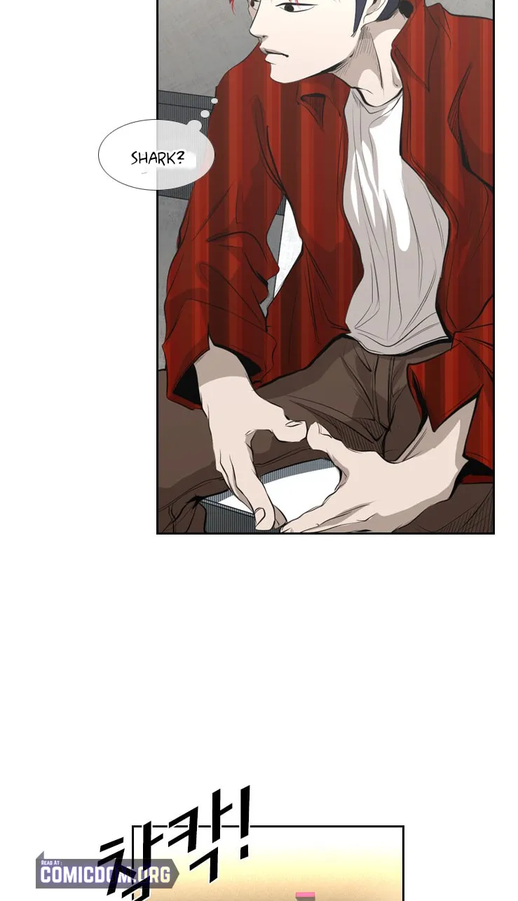 Read Shark chapter 135 image 6 on Lezhin