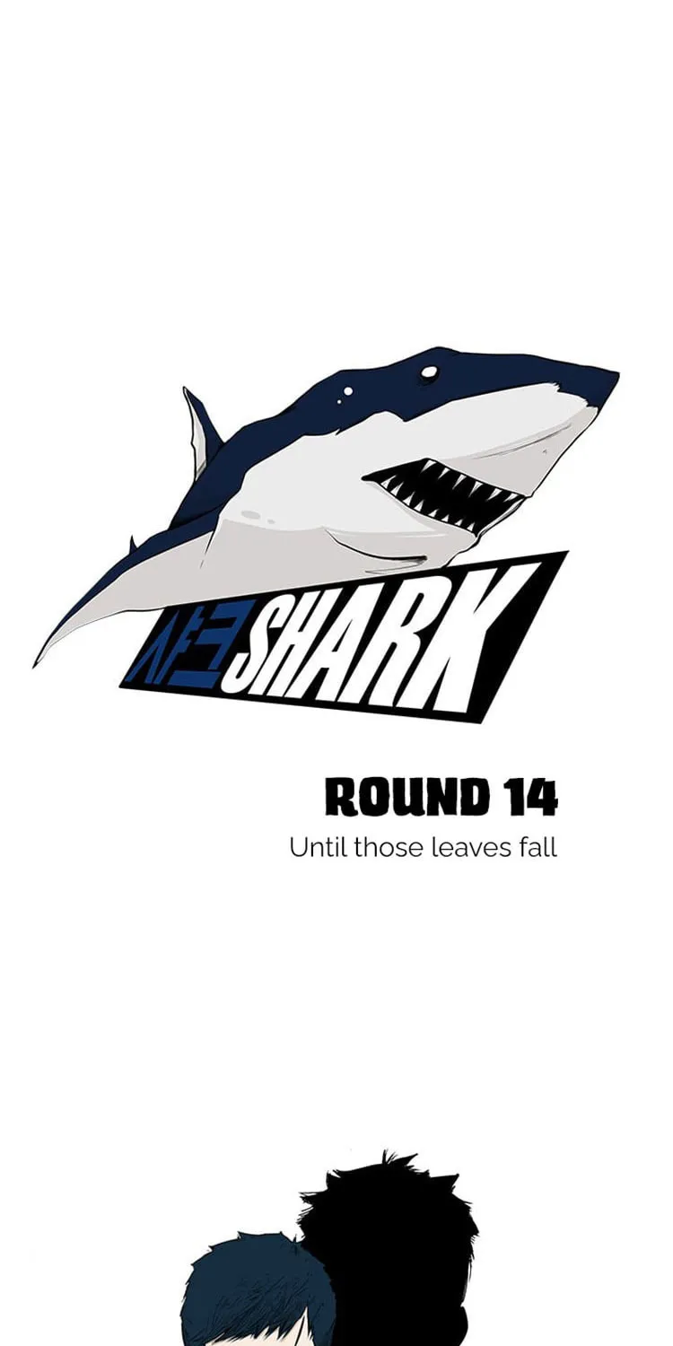 Read Shark chapter 14 image 17 on Lezhin