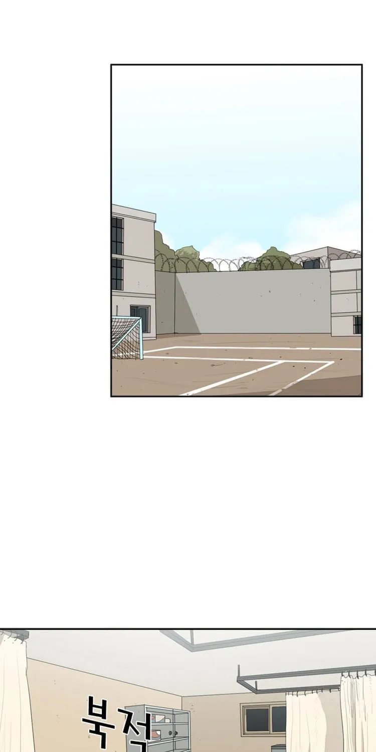 Read Shark chapter 14 image 4 on Lezhin