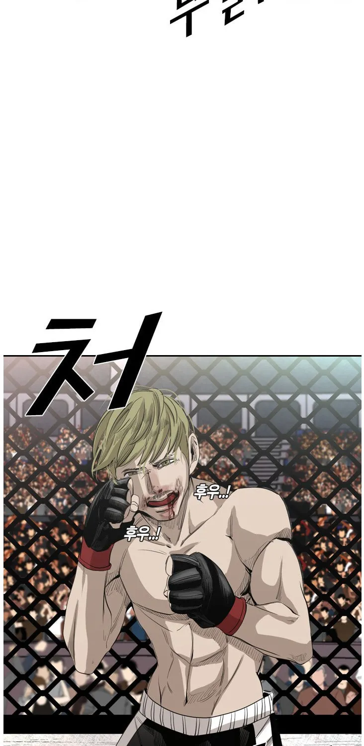 Read Shark chapter 143 image 13 on Lezhin