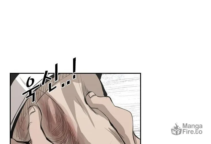 Read Shark chapter 143 image 62 on Lezhin