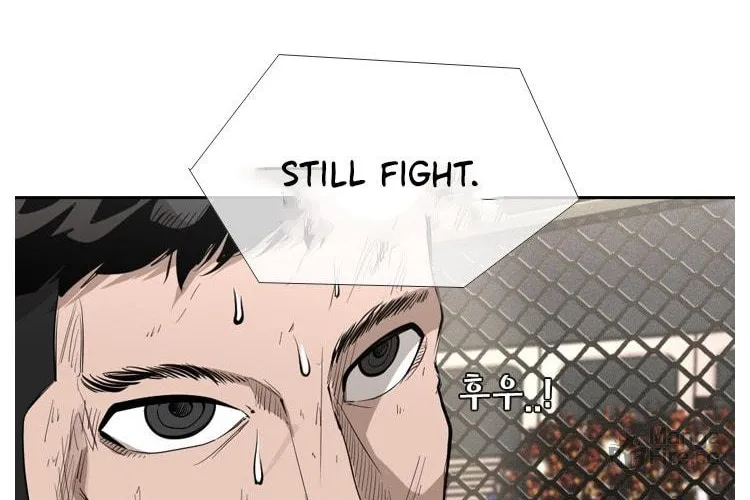 Read Shark chapter 146 image 62 on Lezhin
