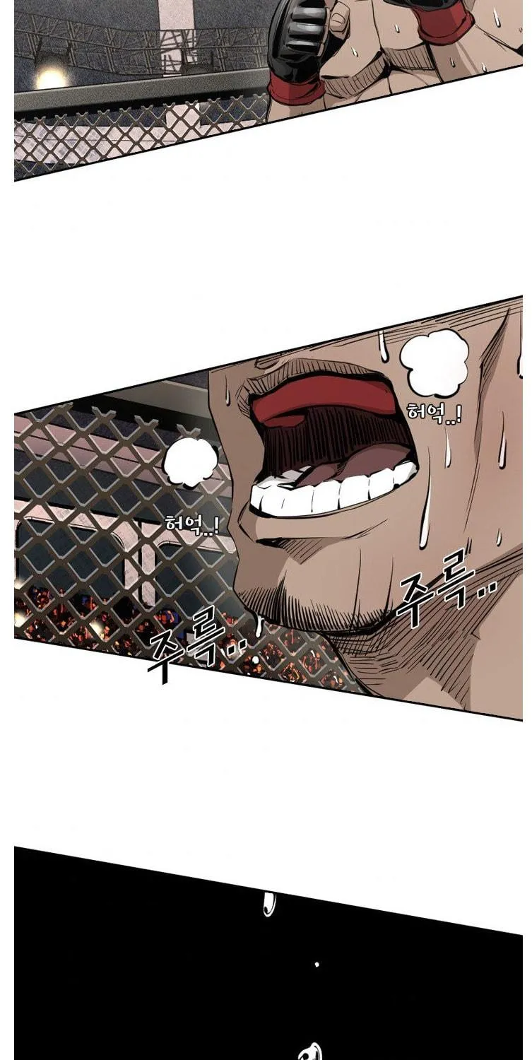 Read Shark chapter 155 image 37 on Lezhin